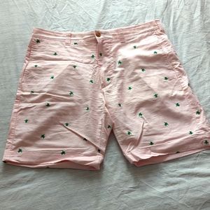 JCrew Pink Turtle Print Shorts - 9"